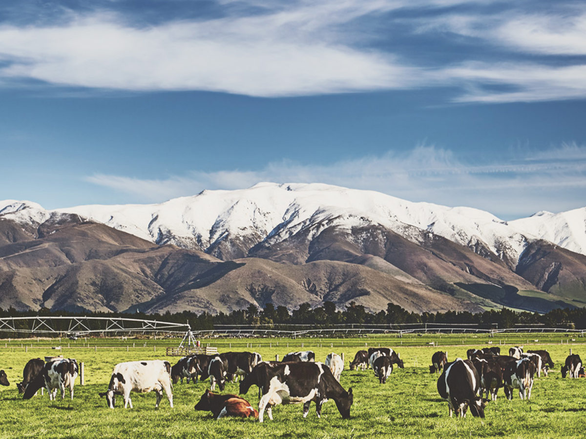 Important Information