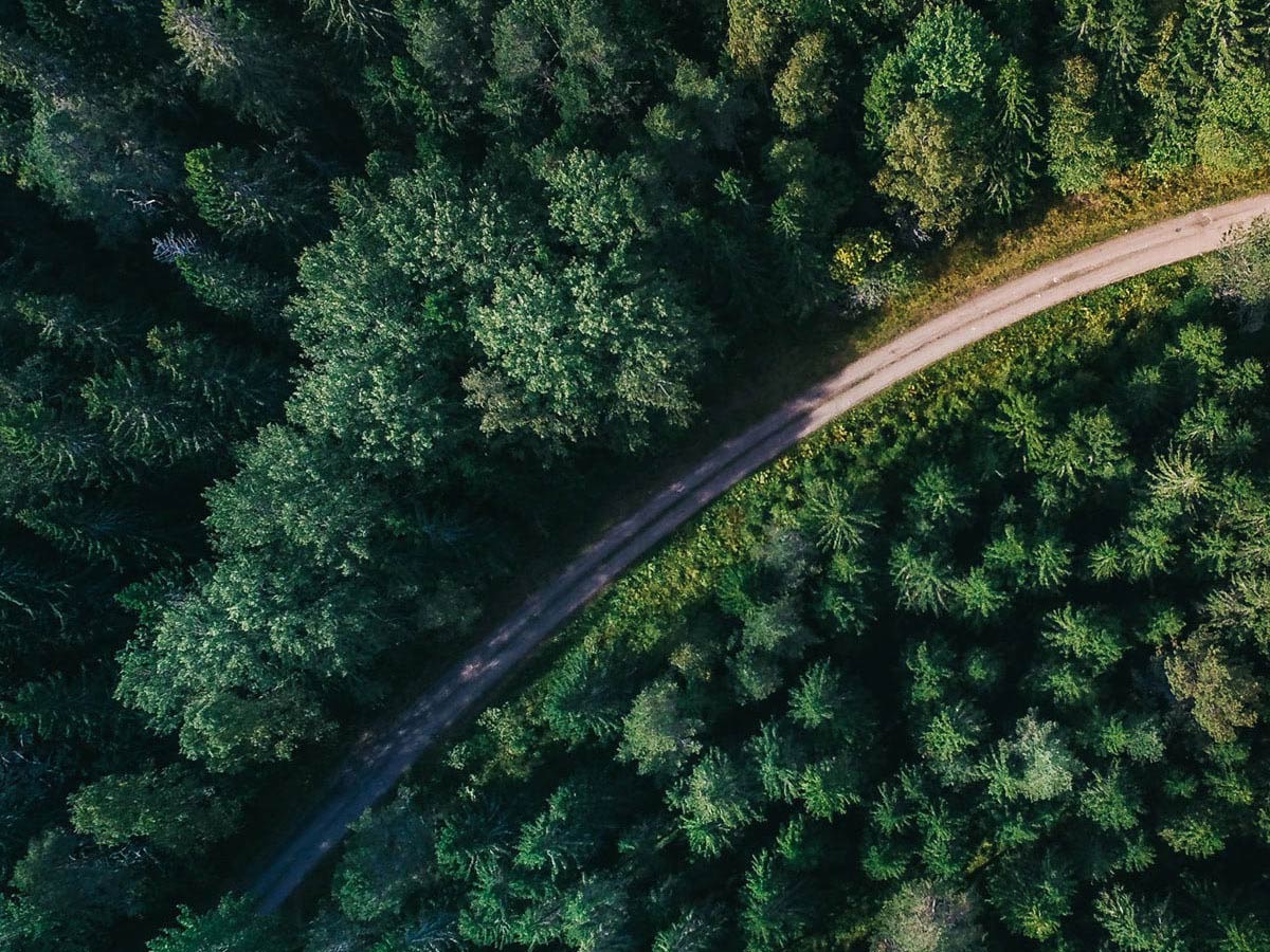 Life is full of turning points